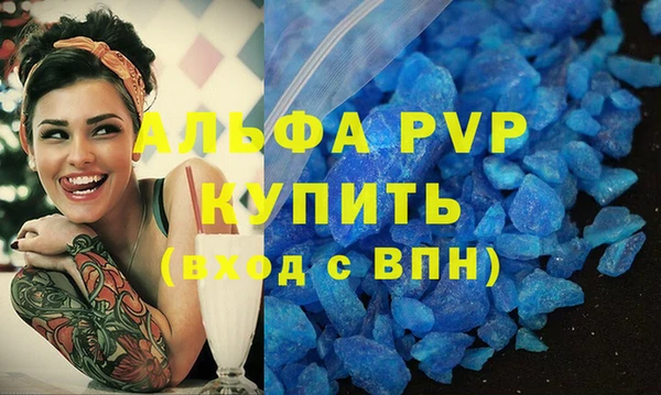 спиды Ельня