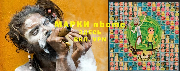 спиды Ельня