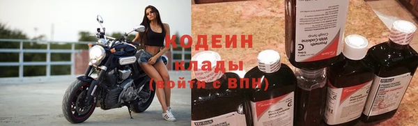 хмурый Алексин