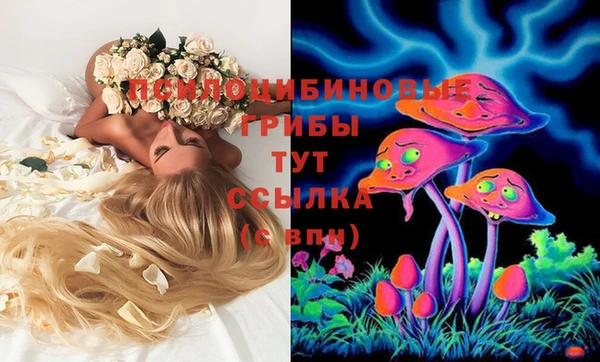 сатива Абдулино