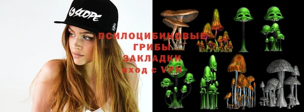 сатива Абдулино