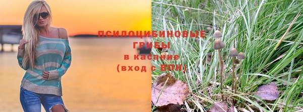 круглые Алзамай