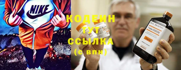 скорость Елизово