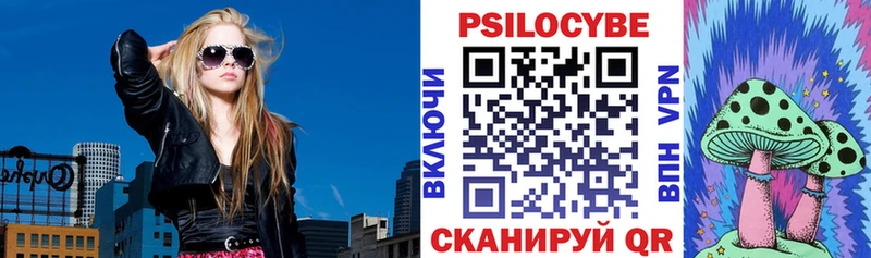 Галлюциногенные грибы прущие грибы  ОМГ ОМГ онион  Советская Гавань 